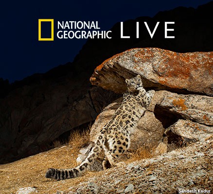 Natgeo online stream sale